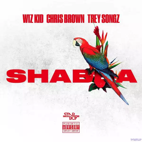 Wizkid - Shabba (instrumental) (ft. Chris Brown, Trey Songz & French Montana)